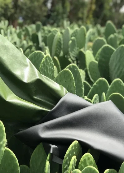 Cactus Leatther